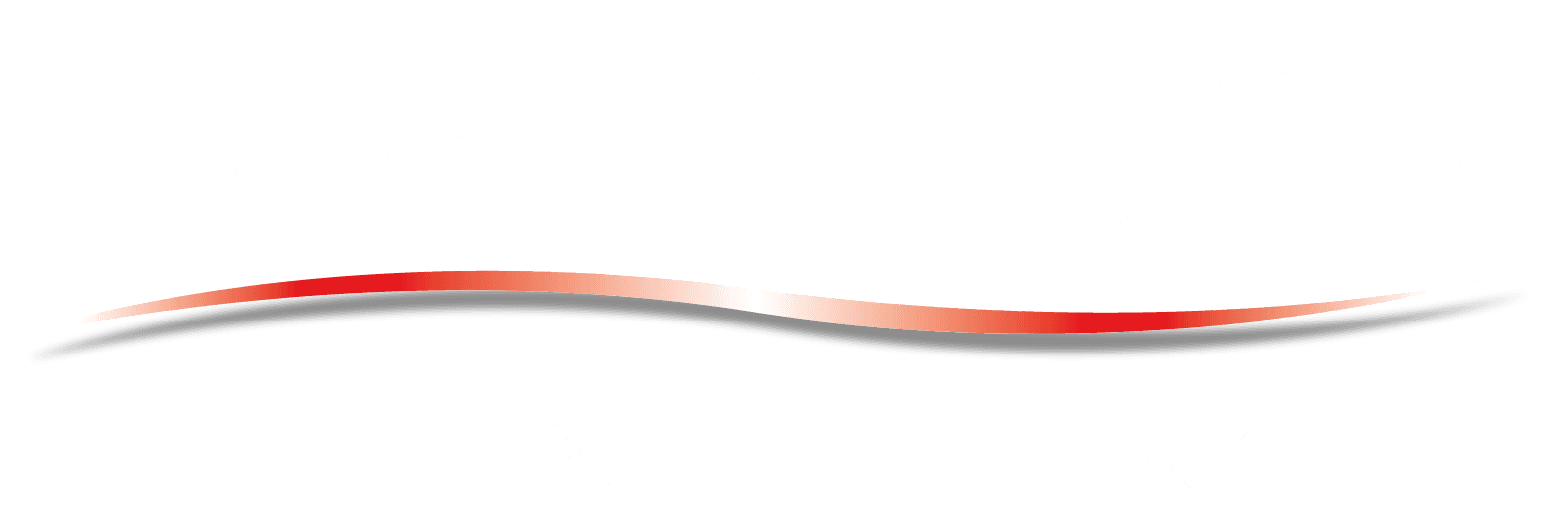 brainLight Suisse